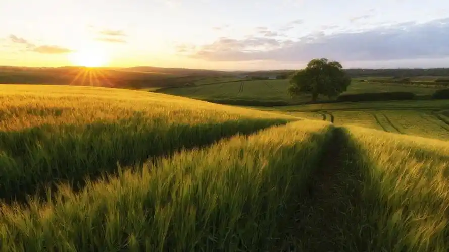 风景壁纸,唯美,高清,清新,蓝天,白云,自然风光,秀丽,壁纸,1920x1080