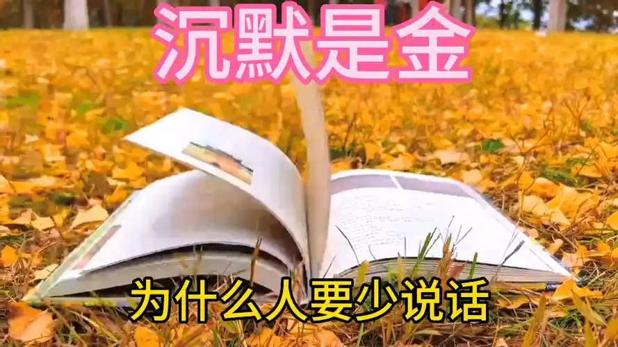 沉默是金,少说话,你就会快成功