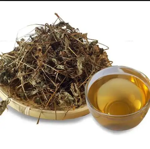 草中之宝——鱼腥草