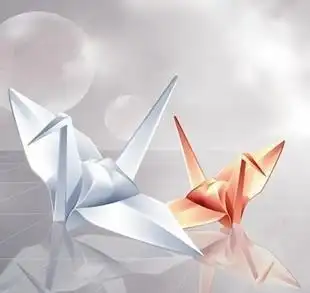 送女朋友千纸鹤代表什么意思千纸鹤来源于日本,开始时只为了纸折