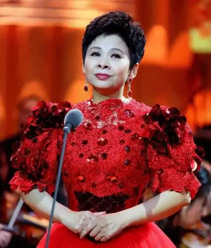 中国著名女高音歌唱家,董文华歌曲欣赏