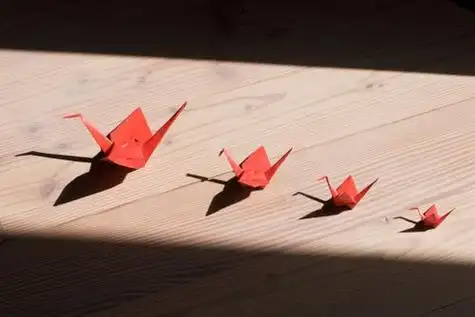 千纸鹤图片