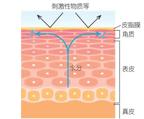 护肤博主经验分享肌肤问题加剧这样维稳皮肤屏障