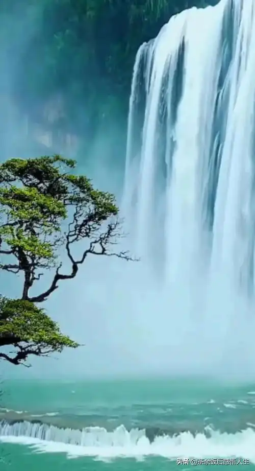 百度一下青山绿水的唯美句子_晶羽文学网