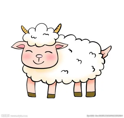 手绘绵羊插画图片