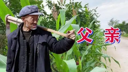 一首《父亲》歌声感人,催人泪下,唱哭天下儿女,好听至极!