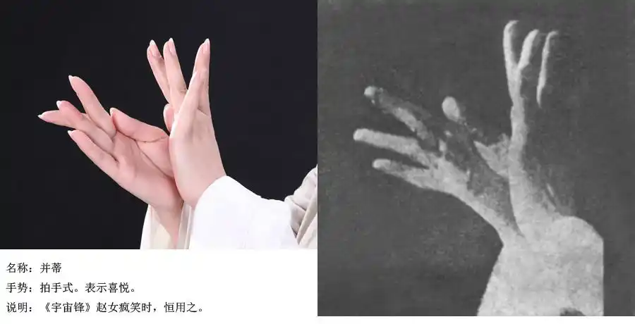 梅馆云端展|手舞艺术——梅派兰花指摄影展 - 梅兰芳纪念 馆