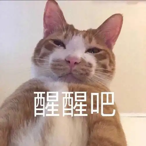 萌宠猫星人醒醒吧兄弟呆萌可爱gif动图_动态图_表情包下载_soogif