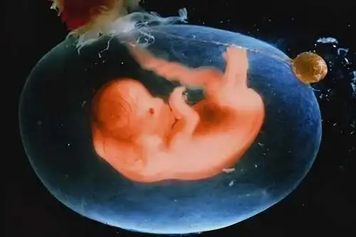 两口育儿的个人展示页