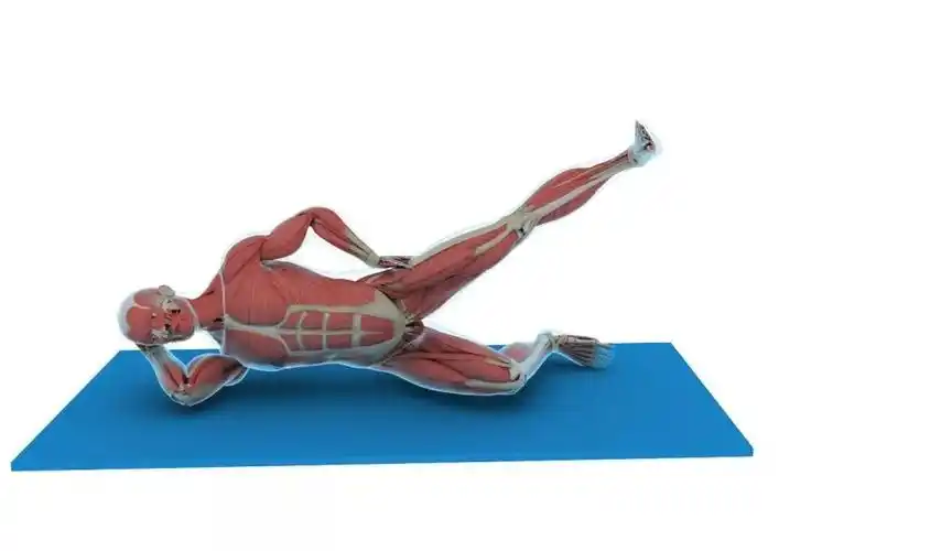 如何训练你的臀中肌