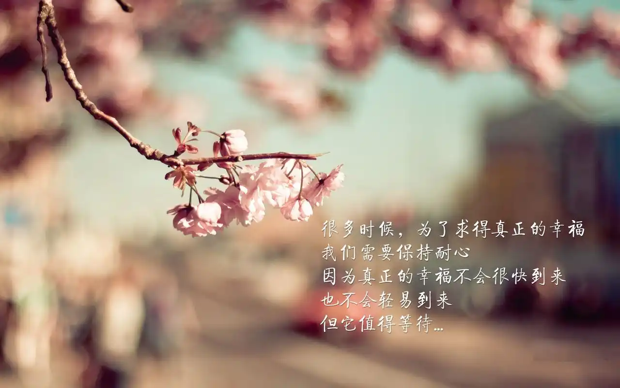 追求幸福文字高清壁纸图片追求幸福文字唯美背景含字壁纸