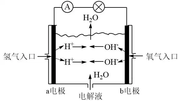 (1)图为氢氧燃料电池原理示意图,按照此图的提示,回答以下问题