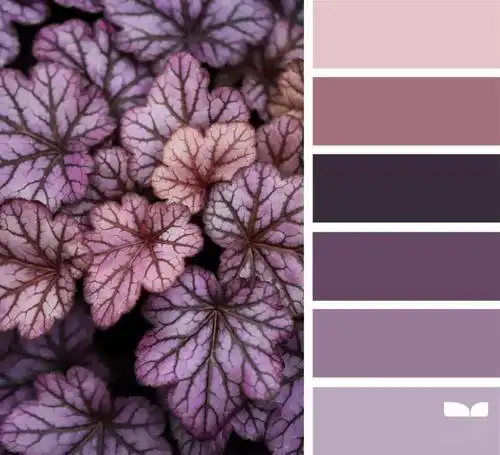 灵感面板|教你从大自然提取颜色!_色彩