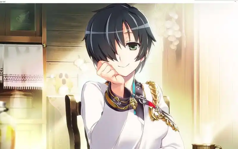 【wallpaper engine】兰斯系列自制壁纸_哔哩哔哩bilibili