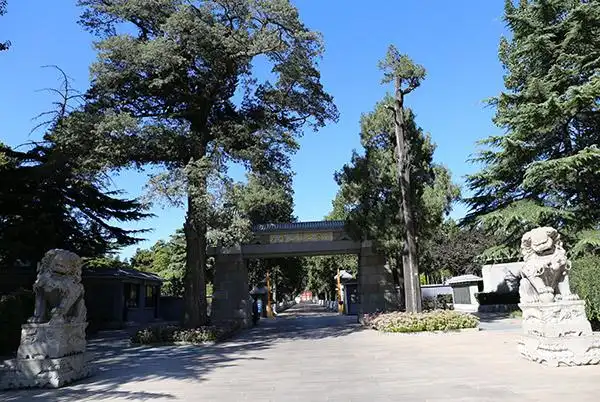 八宝山革命公墓图片 - 墓团网