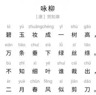 古诗3:俊杰—《咏柳-贺知章》