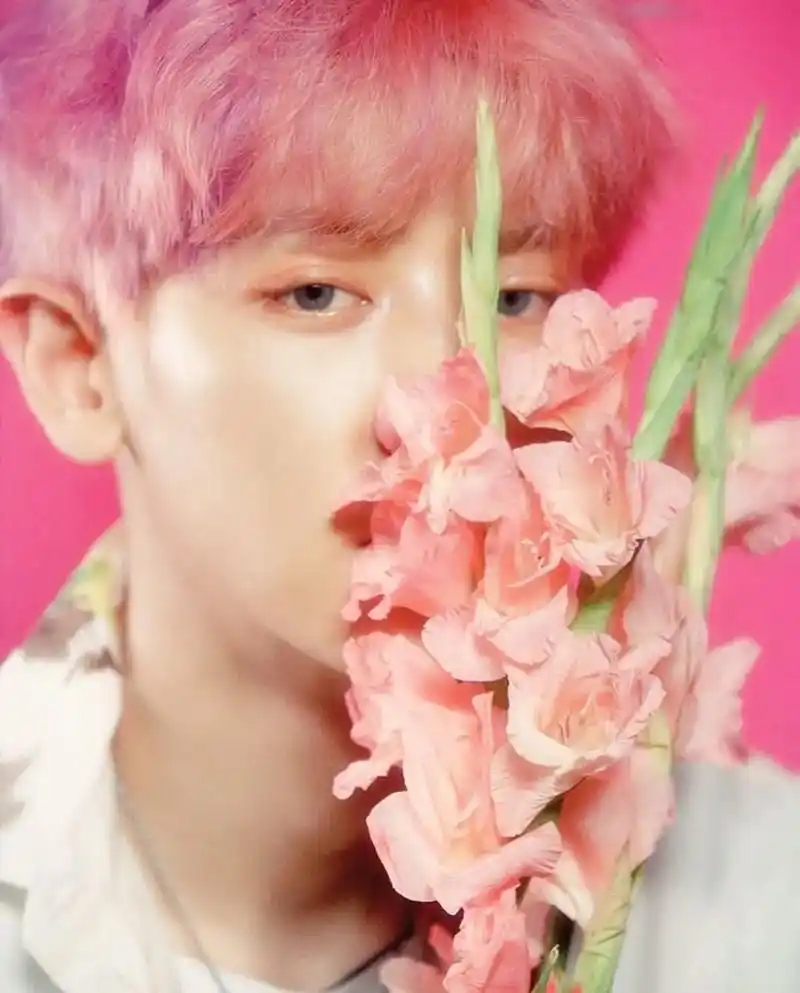 灿烈早期照片20朴灿烈朴灿烈朴灿烈朴灿烈爱丽