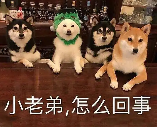 三公子.的相册-把甜甜都给你吖