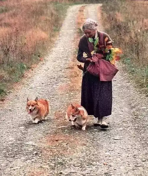 隐居田园35年92岁的她优雅了一生活成仙女的模样