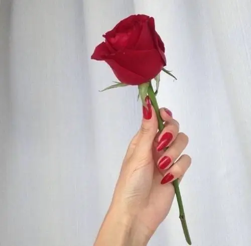 背景图 微信封面 微信背景图