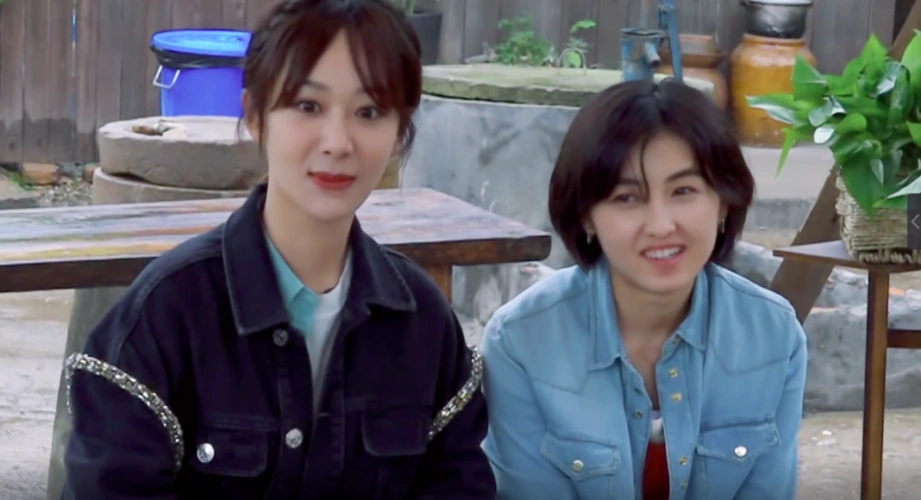 张艺兴杨紫同款睡衣盘活夕阳综艺向往的生活该换换常驻了