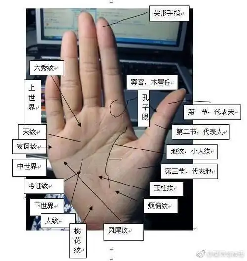 教你看手相右手先天左手后天有这种手相好不好