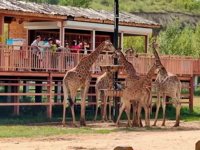 鄂尔多斯动物园,海洋馆之行