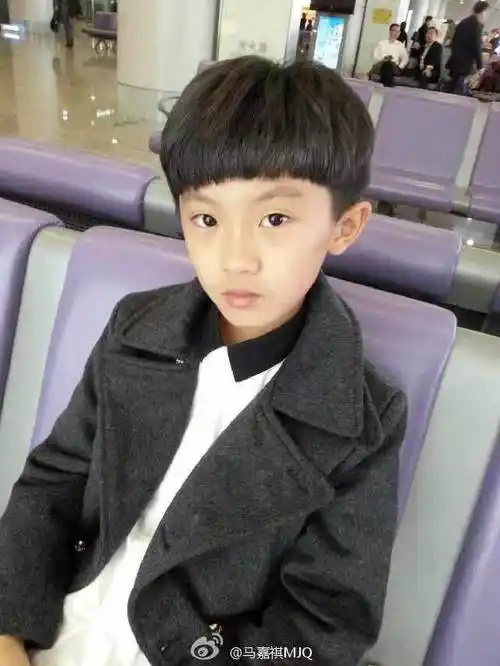 幼崽就是最可爱的马嘉祺可可爱爱幼崽期图楼