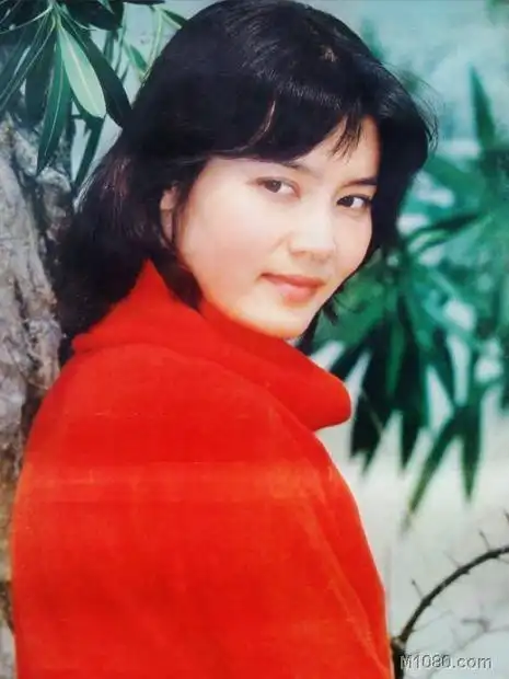 潘虹pan hong (本名)