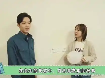 肖战|杨紫_新浪新闻