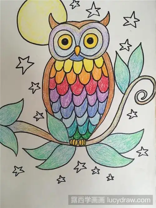 猫头鹰儿童画教程-露西学画画
