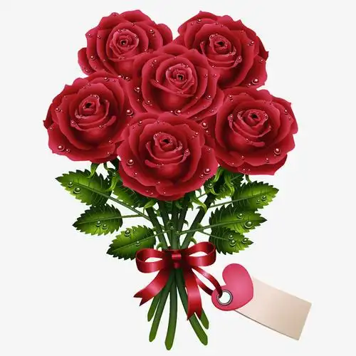 蝴蝶结六朵玫瑰花束