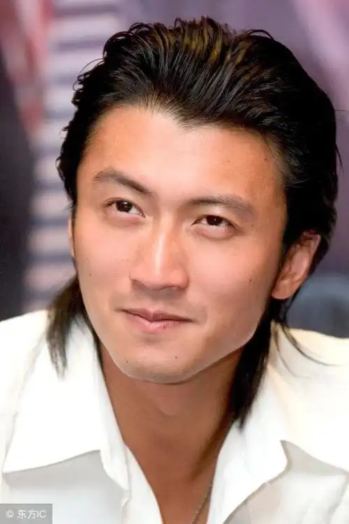 谢霆锋的电影谢霆锋十部经典电影