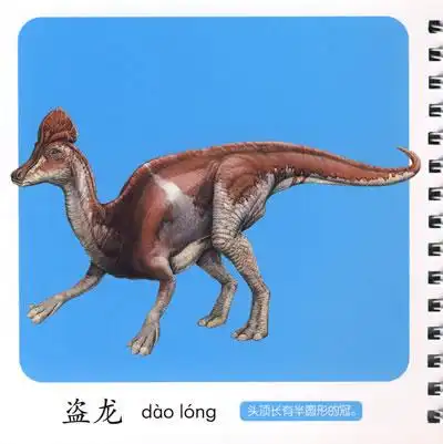 幼儿启蒙识图卡识恐龙