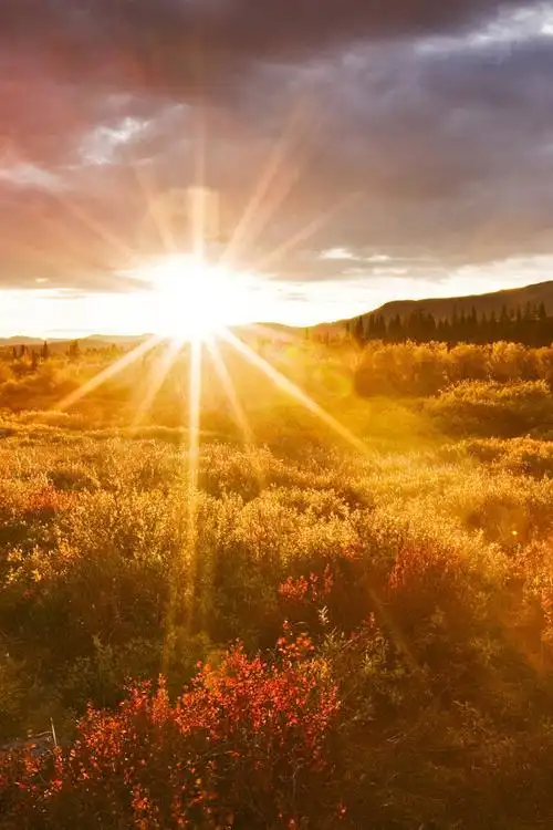 落日夕阳意境高清手机壁纸_唯美图片