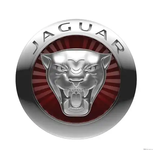 无可复制的生命力 捷豹新品牌理念 alive