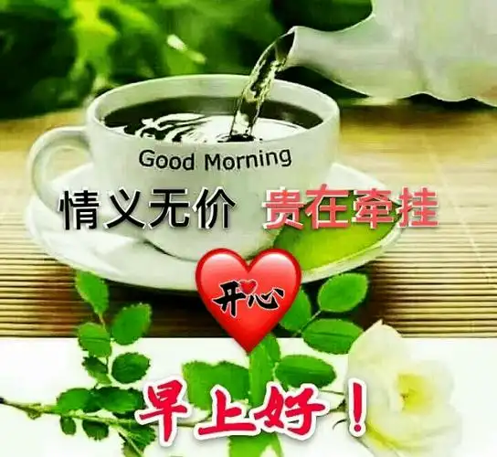 11月14日最新创意好看的早上好祝福图片带字温馨 2023唯美早安问候