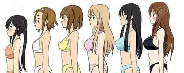 傲诺拉璀璨假体250275290330cc分别做出来有多大呀从隆胸图片来看大小