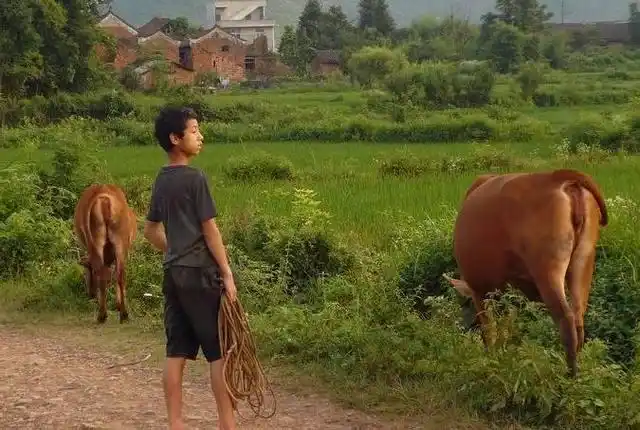农村人的童年生活,满满的都是回忆,九零后很难体会到!
