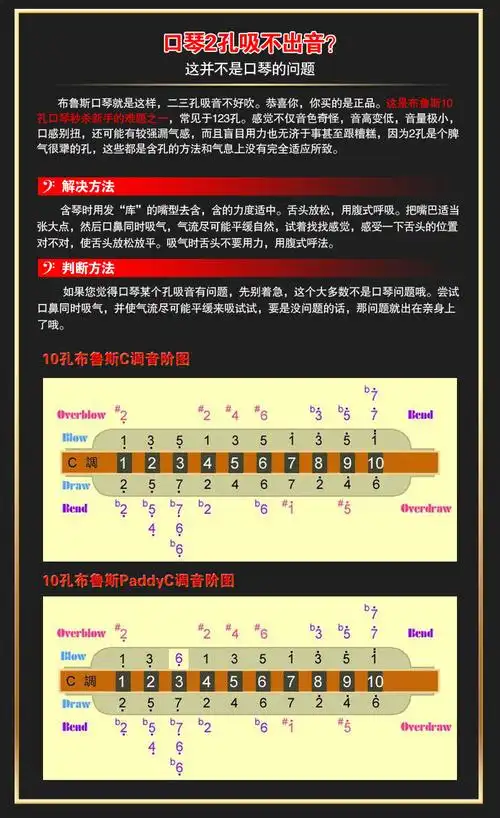 沸沸口琴东方鼎正品蓝调布鲁斯十孔口琴10孔初学t008kpaddy音阶