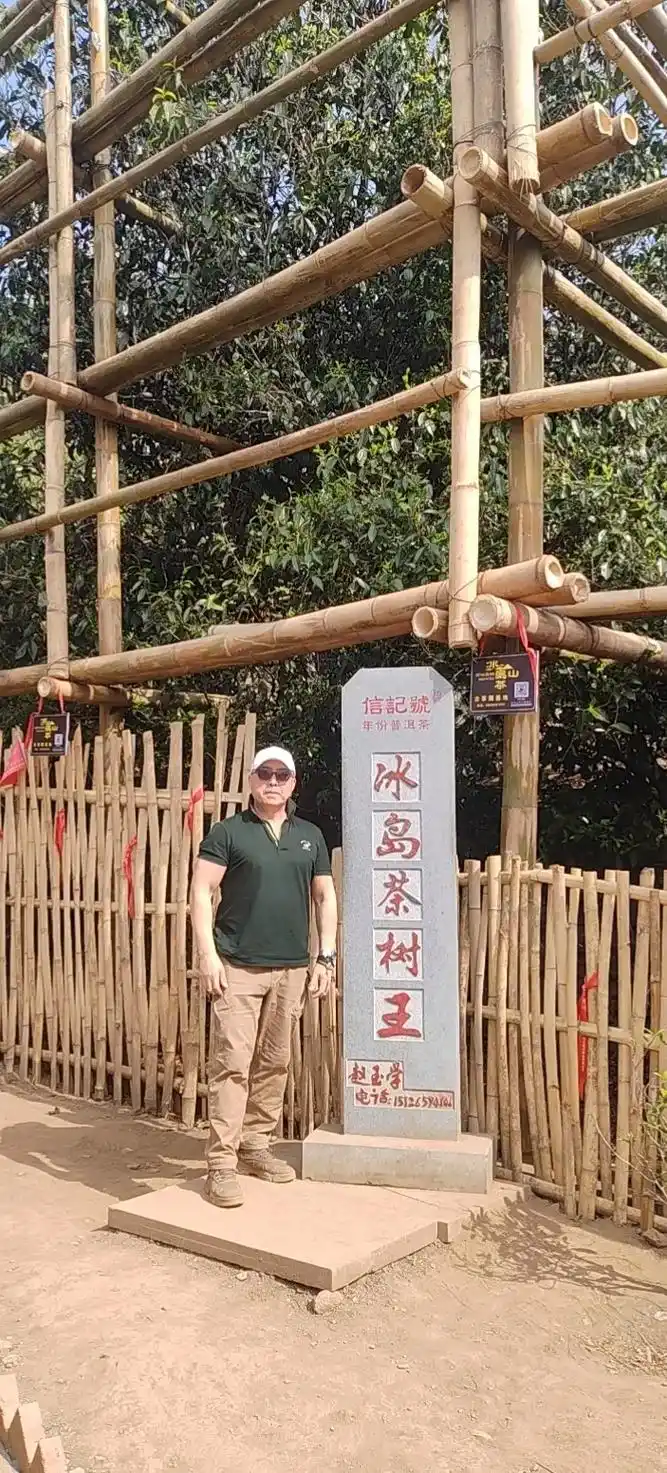 茶山说茶之——冰岛老寨.