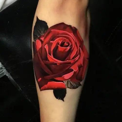 各种色彩的玫瑰花纹身图案欣赏你知道他的寓意吗_腾讯新闻