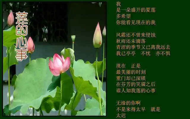 诗歌要我怎么读懂你