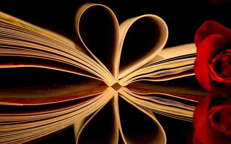 个性卷纸艺术桌面壁纸