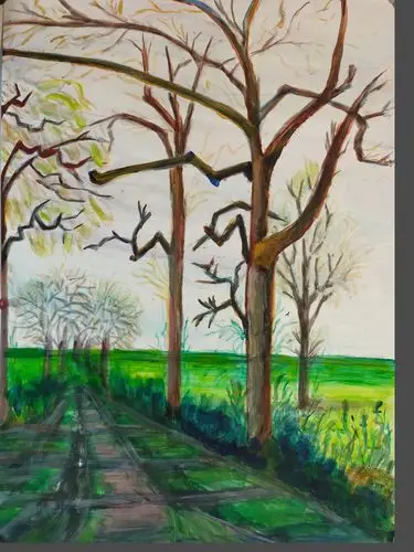 2020-07-24 丙烯 右   地面  路旁树丛