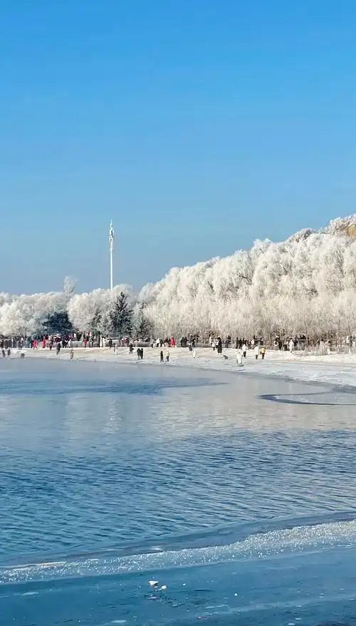 吉林雾凇美景,省钱攻略大揭秘!