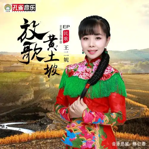 我唱信天游_王二妮_高音质在线试听_我唱信天游歌词|歌曲下载_酷狗