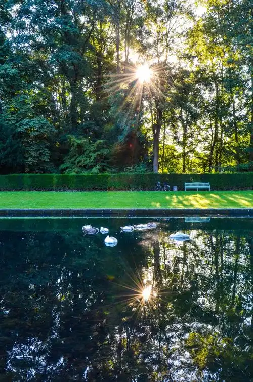 祥和安静的清晨.