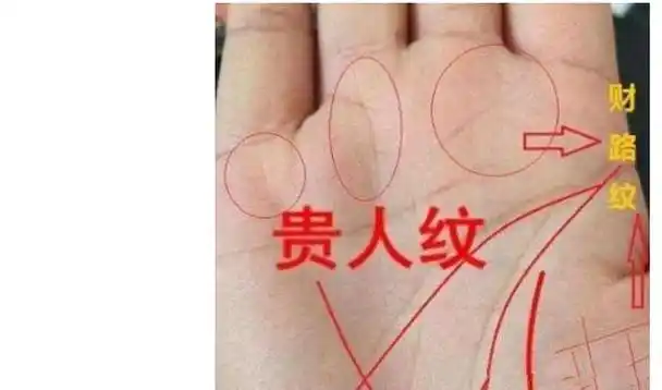 com )免费算命,每日运势查询_风水学_八字起名