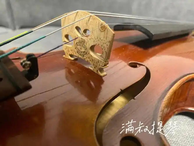 手工制作小提琴  #手工小提琴  #小提琴  #小提琴维修保养  #大提琴